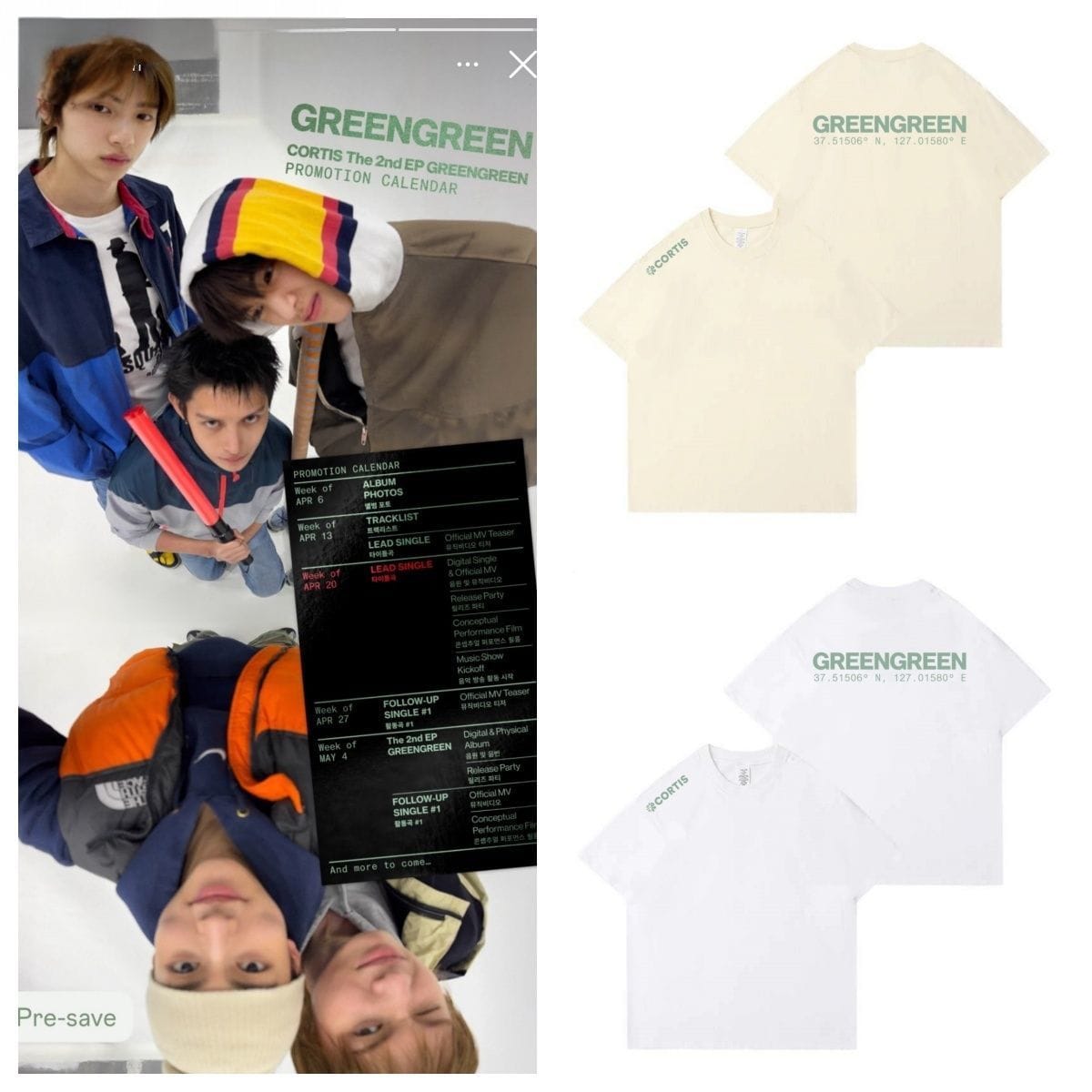 CORTIS T SHIRT GREENGREEN 100% COTTON – PLANET STORE