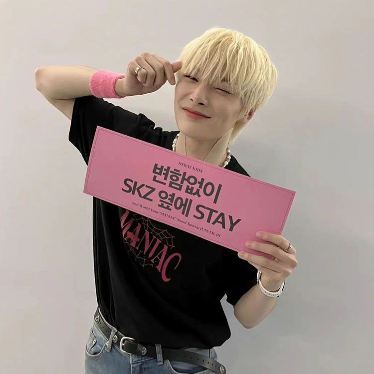 CAMISETA STRAY KIDS MANIAC 100% ALGODÃO