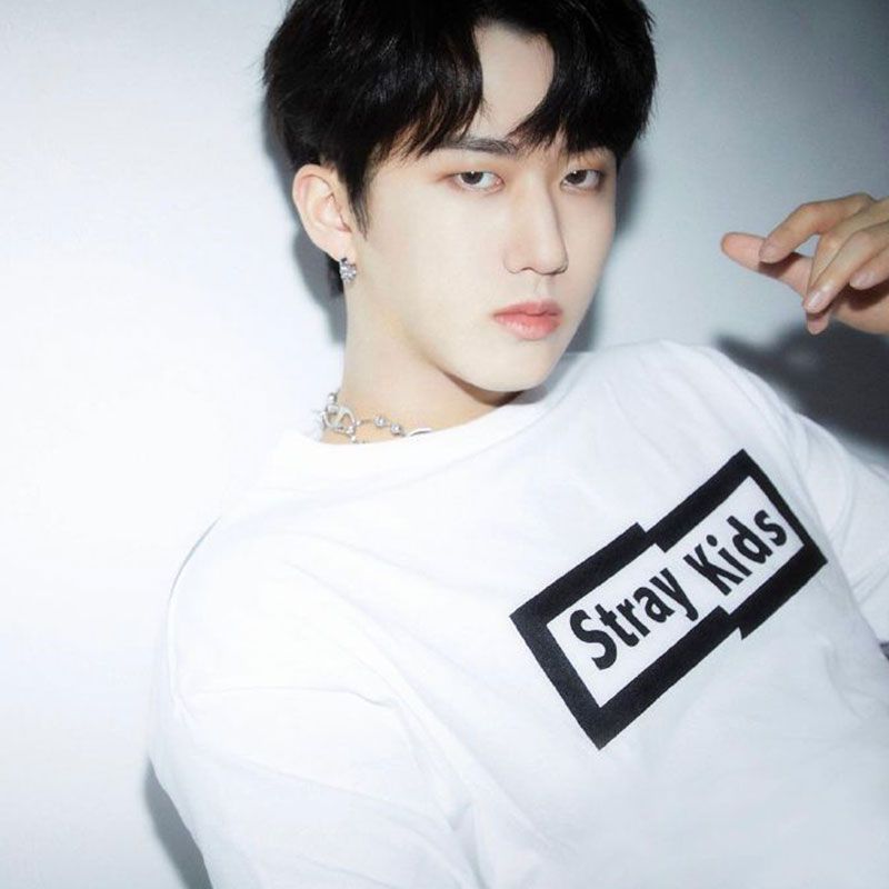 STRAY KIDS T-SHIRT 100% COTTON