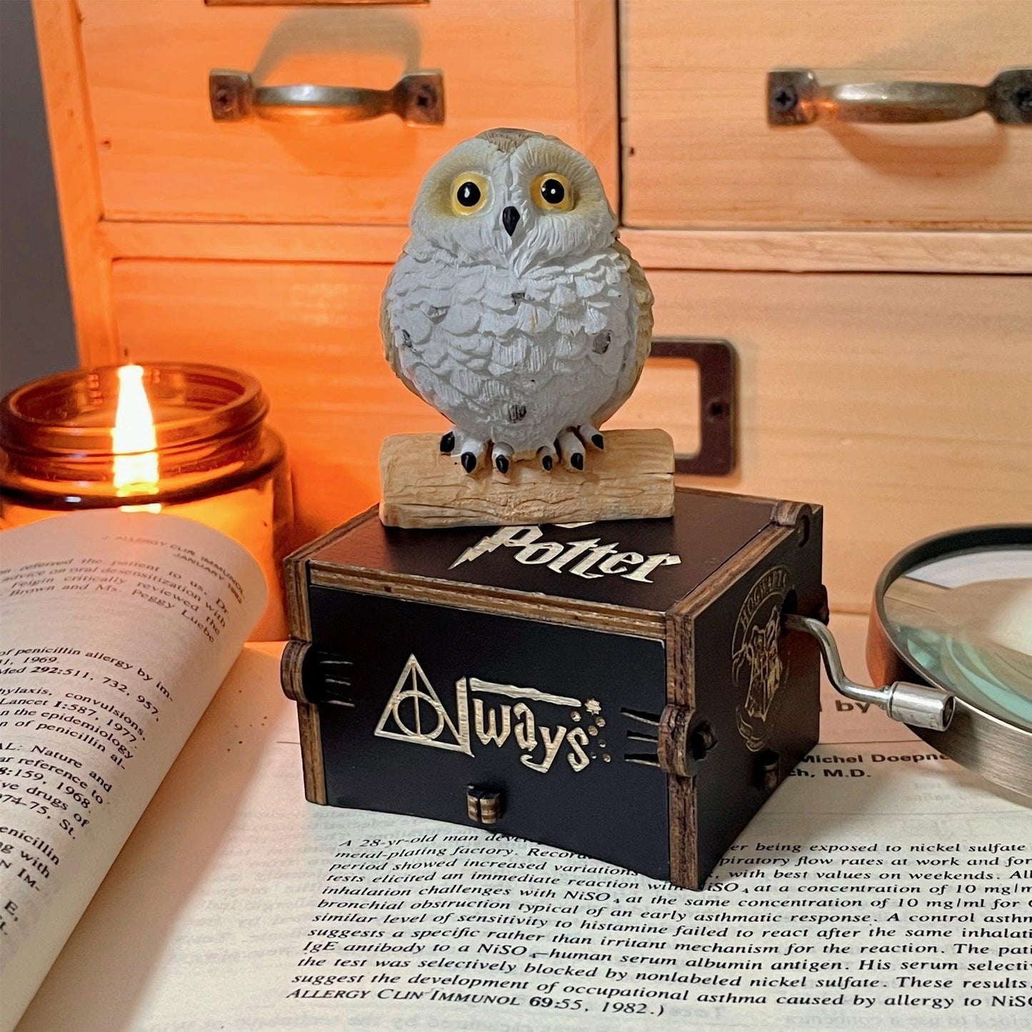 HARRY POTTER MUSIC BOX (STRING) + OWL