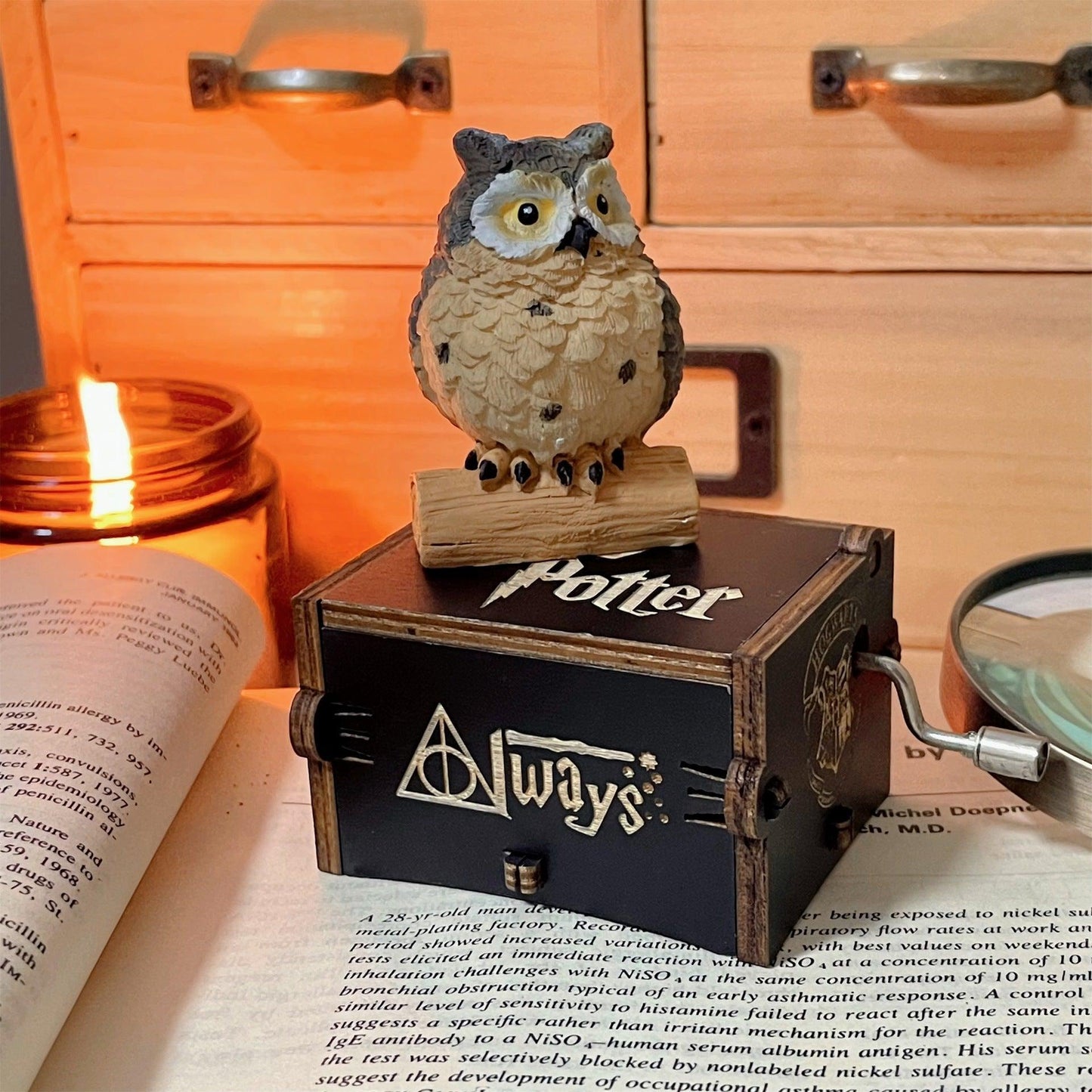 HARRY POTTER MUSIC BOX (STRING) + OWL