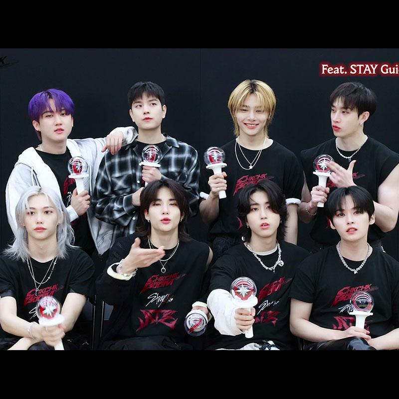 CAMISETA STRAY KIDS ATE 100% ALGODÓN