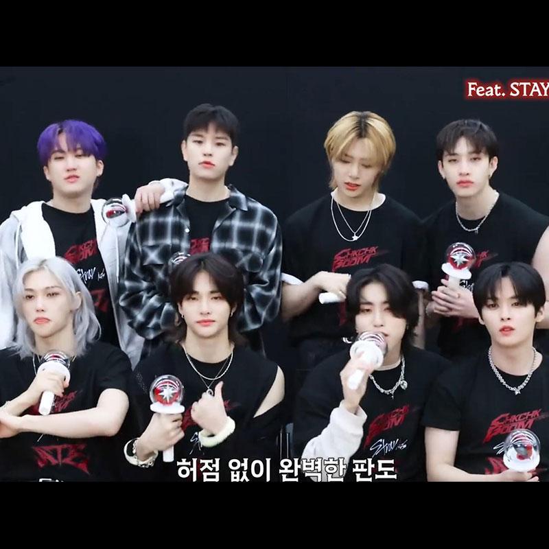 STRAY KIDS T-SHIRT ATE 100% COTTON