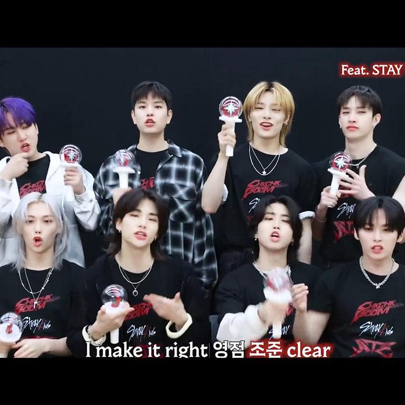 CAMISETA STRAY KIDS ATE 100% ALGODÓN