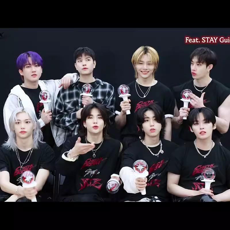 STRAY KIDS T-SHIRTS ATE 100% COTTON