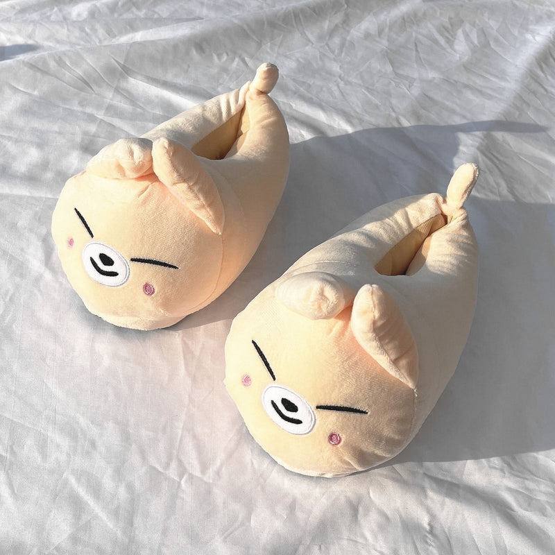 SKZOO STRAY KIDS SLIPPERS (available to all)