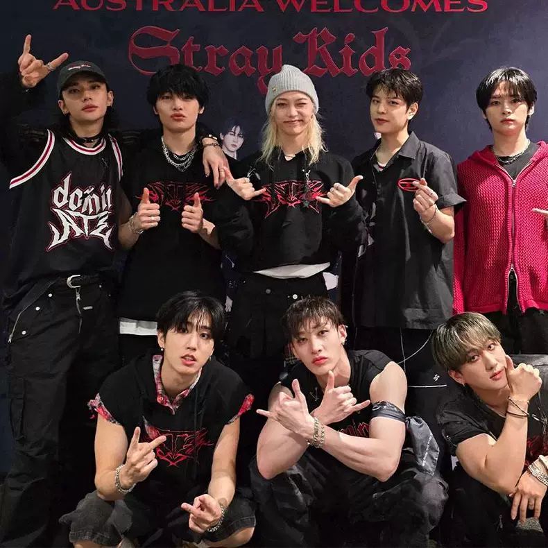 STRAY KIDS HOODIES Domin ATE TOUR 2024