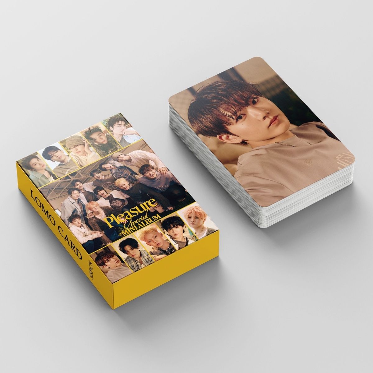 PHOTOCARDS TREASURE PLEASURE 55 PÇS