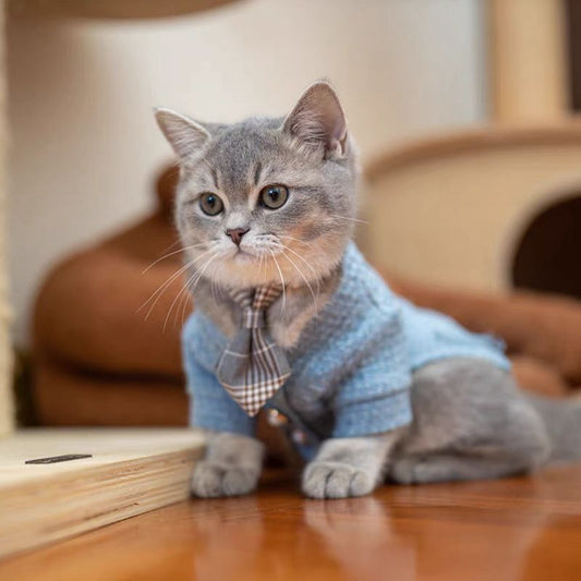 PET TIE