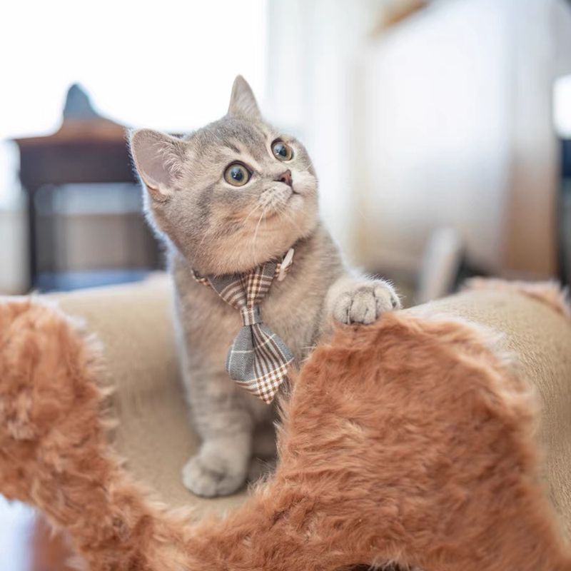 PET TIE