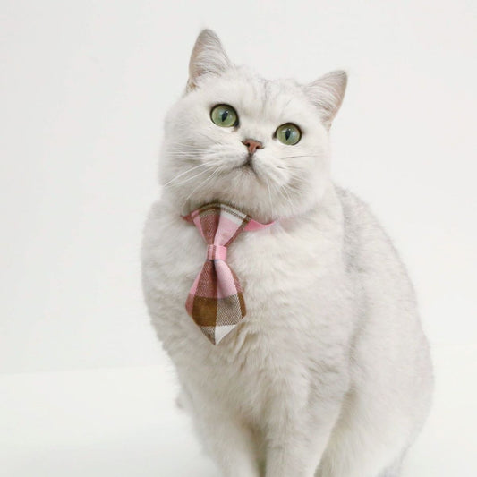 PET TIE