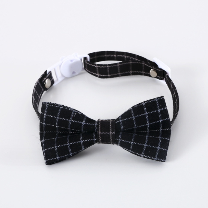 PET TIE