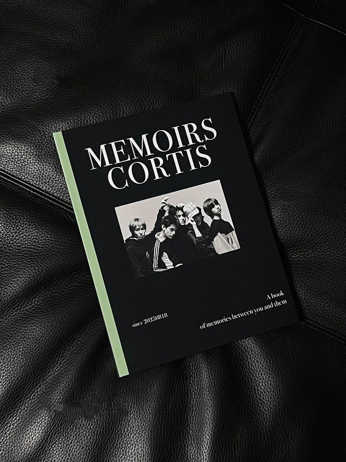 CORTIS BINDER + 20 PLASTIC SHEETS