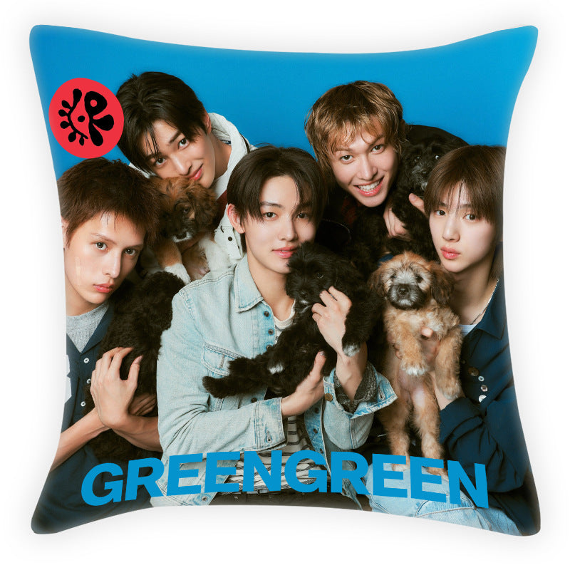 CORTIS PILLOWS - VARIOUS PRINTS