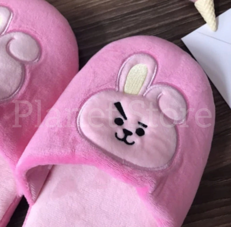 BT21 EMBROIDERED AND PLUSH SLIPPERS